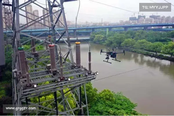 Halcyon 赢得 4000 万美元的投资轮