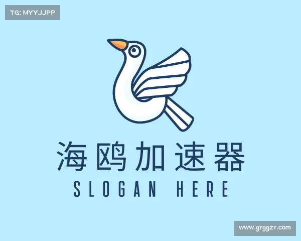 介绍海鸥加速器